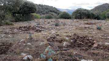 Corrales de Ateta 2 tumulua, Arteta-Ollo