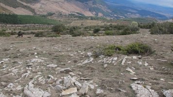 Alzemear 5 eraztun tumulua, Andia