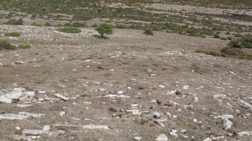 Alzemear 5 eraztun tumulua, Andia