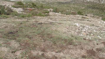 Alzemear 4 etxola hondoa, Andia