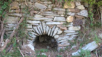 Dornaku karobia, Bera