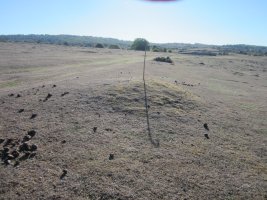 Fondo de Cabaña Majadas de Allo 1  (Octubre 2022)