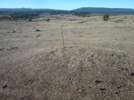 Fondo de Cabaña Majadas de Allo 1  (Octubre 2022)