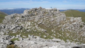 Tontorra, Ganboatxiki