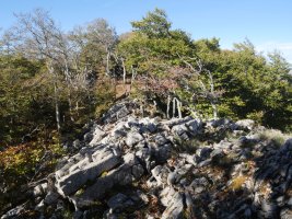 Tontorrera gerturatzen ekialdetik, Uazkuru