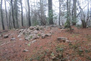 Dólmen Txangosta (01-2019)