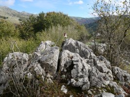 Akaitztxikiko txartelontzia