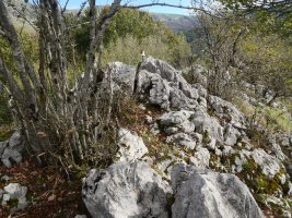 Akaitztxikiko tontorra