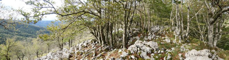 Tontorraren inguruak, Akaitztxiki