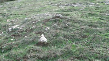 Urdintxa 4 tumulua, Andia