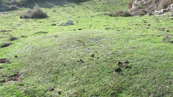 El Castillo etxola hondoa, Andia