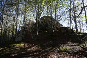 Dornaots haitza, ekialdean