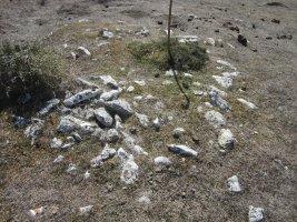 Túmulo El Ginebral* (Septiembre 2022)