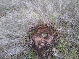 Tako geodesikoa gailurrean