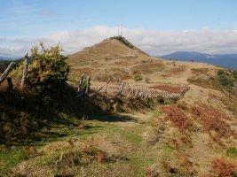 Zipar, ekialdetik ikusita