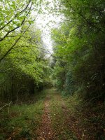 Jaitsierako pasarte bat