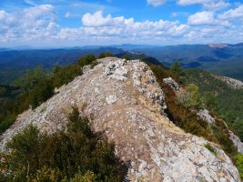 Dozola tontorra ekialdetik