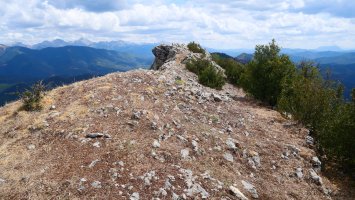 Dozola tontorra mendebaldetik
