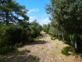 Marzaetxeko bideko pasarte bat