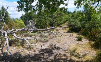 Marzaetxeko bideko pasarte bat
