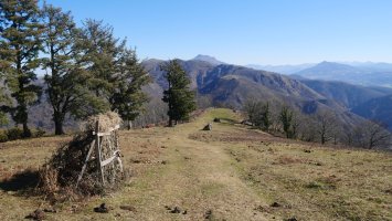 Pagogañatik Endarlartzara jaisten