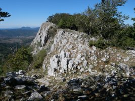 Mendebaldeko gandorra, Arrondoa