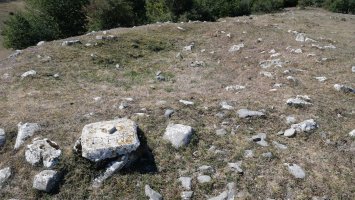 Ugagibel trikuharria