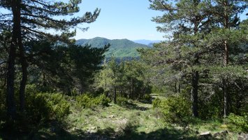 Ansotik datorren bidea