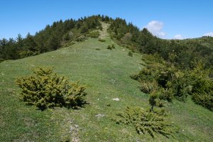 Kalbeira hegoaldeik, azken txanpa
