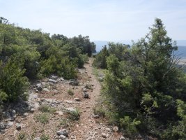 Bidezidorra Ledea parean