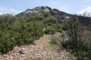 Ibarra mendebaldeko lepotik