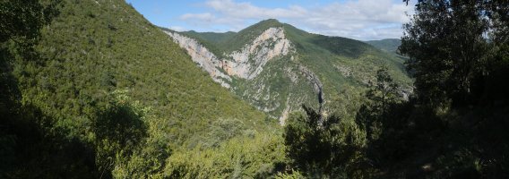 Mellua mendia igoeratik