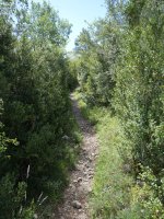 Igoerako bidezidorra