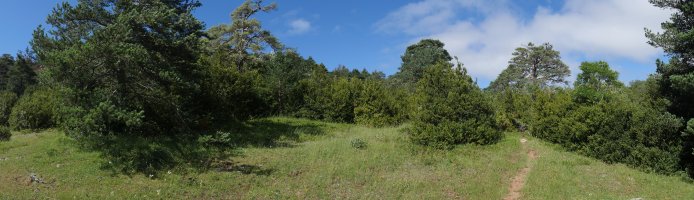 Azken txanpan pista zabala utzi eta ezpel artetik gerturatuko gara tontorrera