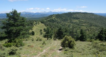 Valdepeña Bardipeña aldetik