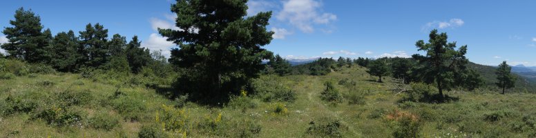 Bardipeña eta Valdepeña arteko lepoa