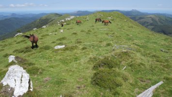 Iparraldeko bizkarreko muino bat