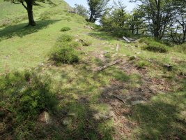 Ibintzako harrespilak