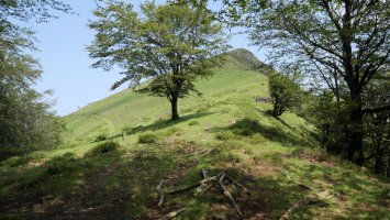 Komizko Gaina Ibintzako lepotik
