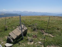 Otsogorritxipia tumulua