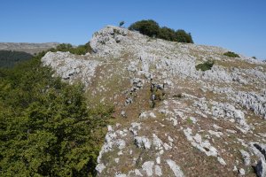 Pagamotxeta mendebaldetik