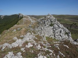 Aitzorrotz tontorra, Eskalaborro ezker aldean