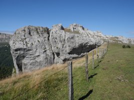 Aitzorrotz tontorra mendebaldetik