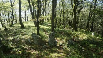 Baraxar Pagoxar harrespila