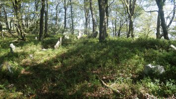 Baraxar Pagoxar harrespila