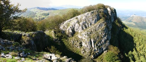 Sarastarriko gandorra ekialdetik