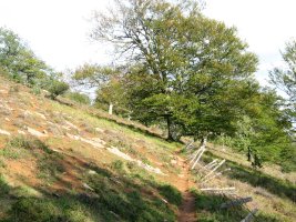 GR12 bidea tontorra Hegoaldetik inguratuz