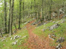 Lareotik igotzen den bidea