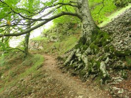 Lareoko urtegira doan bidea