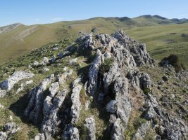 Saltarrimendi tontorra